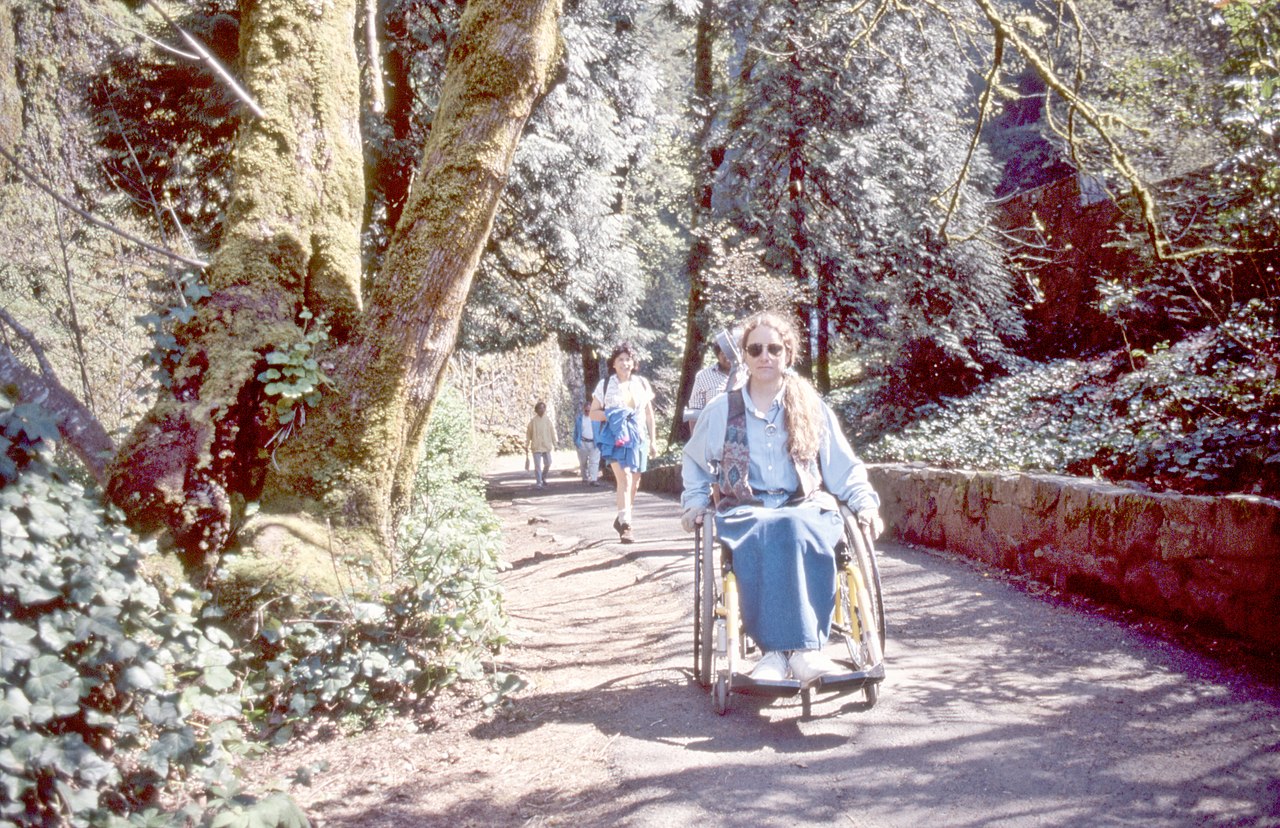 A person using a wheelchair on an accessible trail.